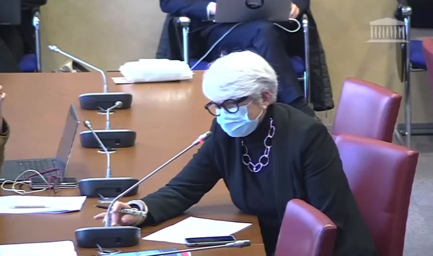 Gisèle Biémouret lors de la séance de la commission des Affaires Sociales - Capture d'écran