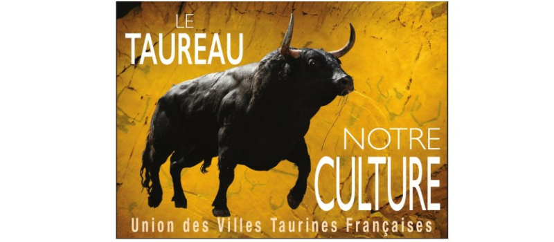 Echos du callejon : nouvelles taurines