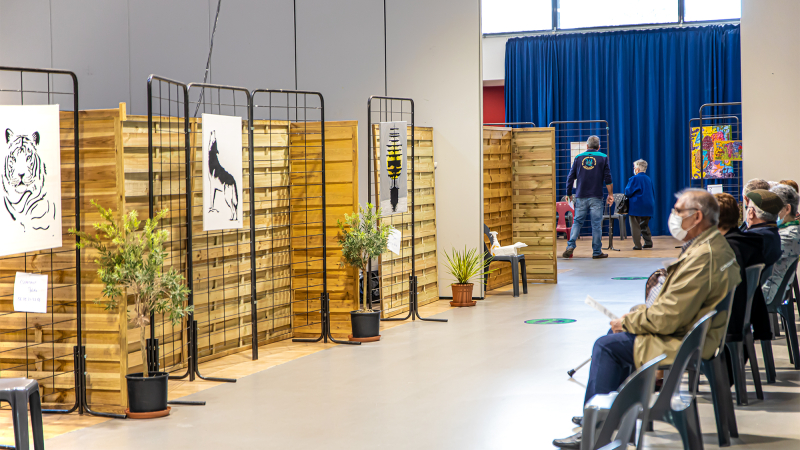 Nouvelle vaccination et nouvelle expo à Nogaro  