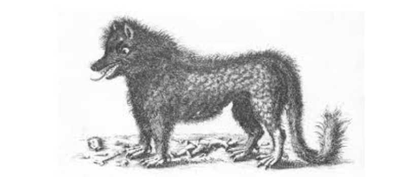 Souvenirs : Cantaloup, berger lozérien, et la bête du Gévaudan