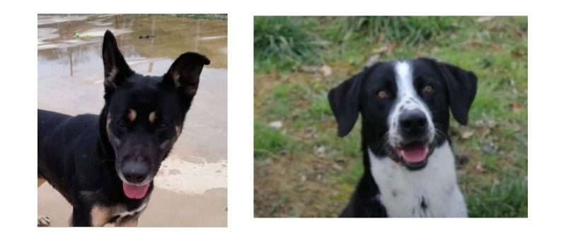 Asko et Loukas à l'honneur cette semaine !