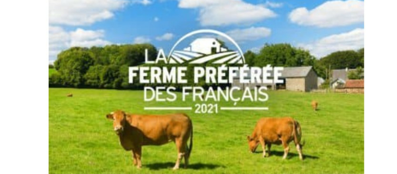 La ferme du Hitton sera-t-elle la ferme préférée des Français? Réponse mercredi soir!