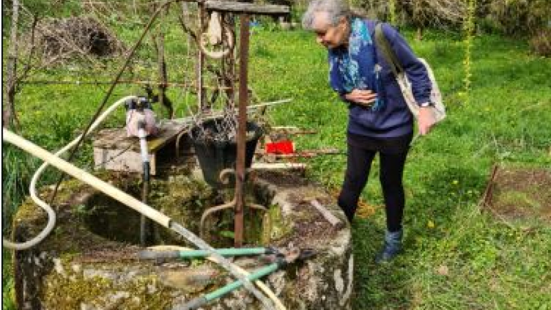 Un jardin partagé et plus encore