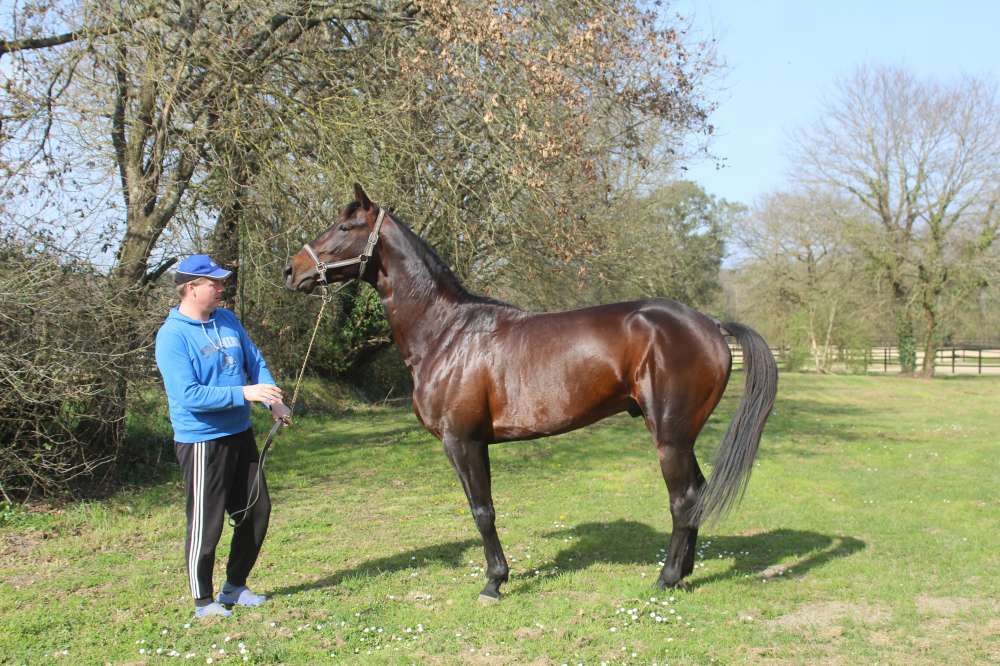 Richard Westerink et Fisbee d'Am