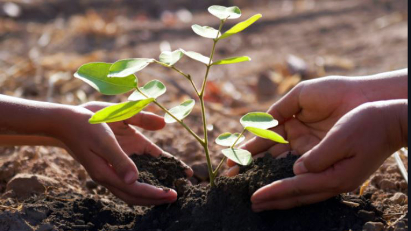 Les enfants s'engagent aux côtés du monde agricole