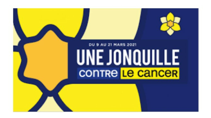 Une jonquille contre le cancer