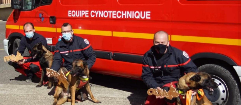 L'équipe cynotechnique des sapeurs pompiers gersois s'étoffe