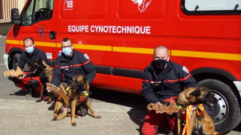 L'équipe cynotechnique des sapeurs pompiers gersois s'étoffe