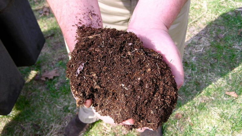 On se met tous au compost