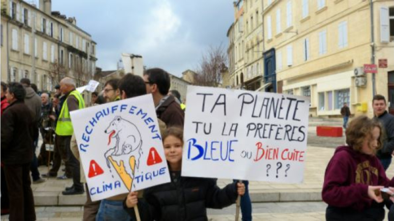 " Marche pour le climat "