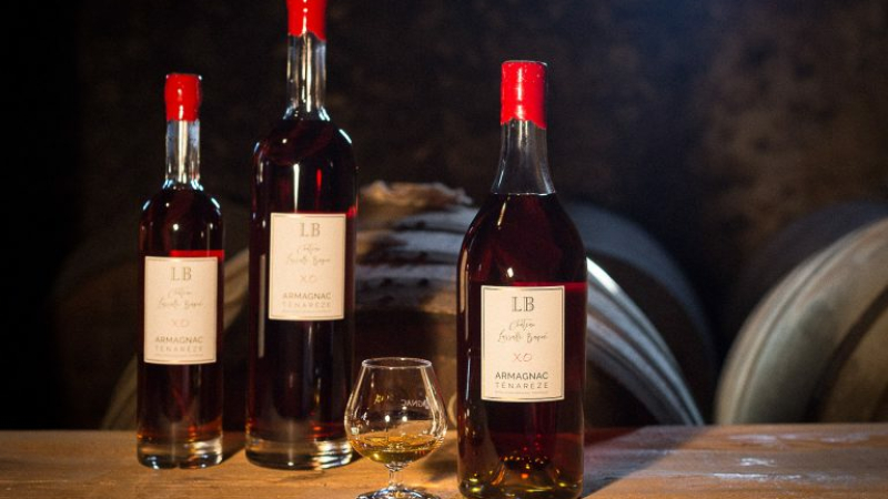 Connaissez-vous le château de Lassalle-Baqué en Ténarèze ?
