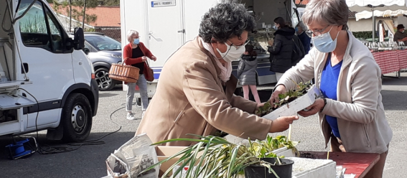 Marché de printemps - la suite -