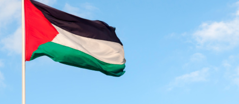 Appel de l'Association France Palestine Solidarité