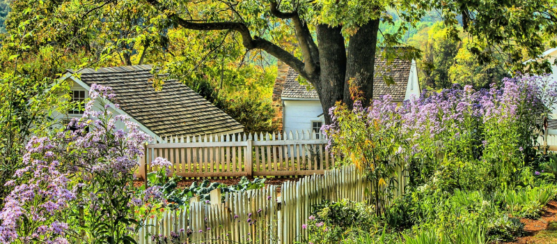 Concours des jardins écologiques
