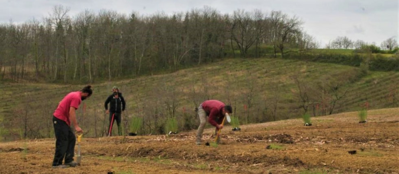 “Esperense”, quels arbres pour demain ?