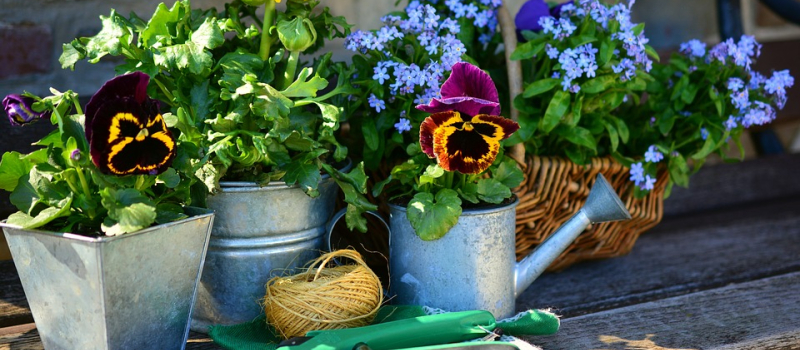 Marché aux plantes et vide-jardin