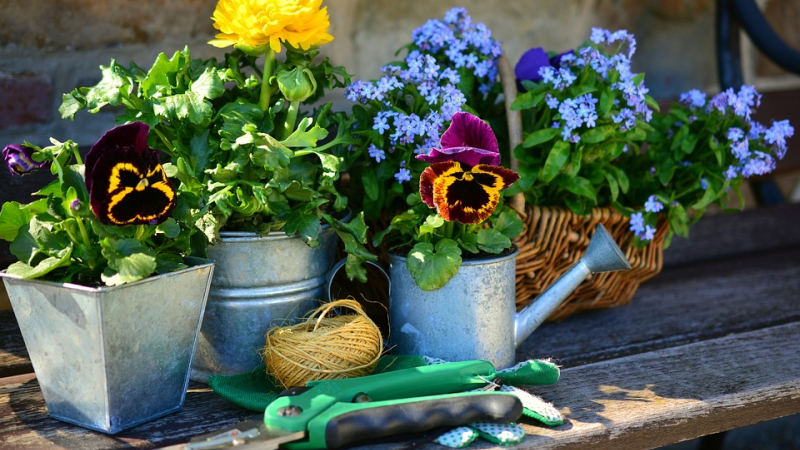 Marché aux plantes et vide-jardin