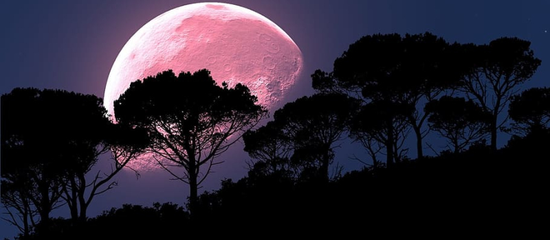 Premier rendez-vous pour observer le ciel, cette année