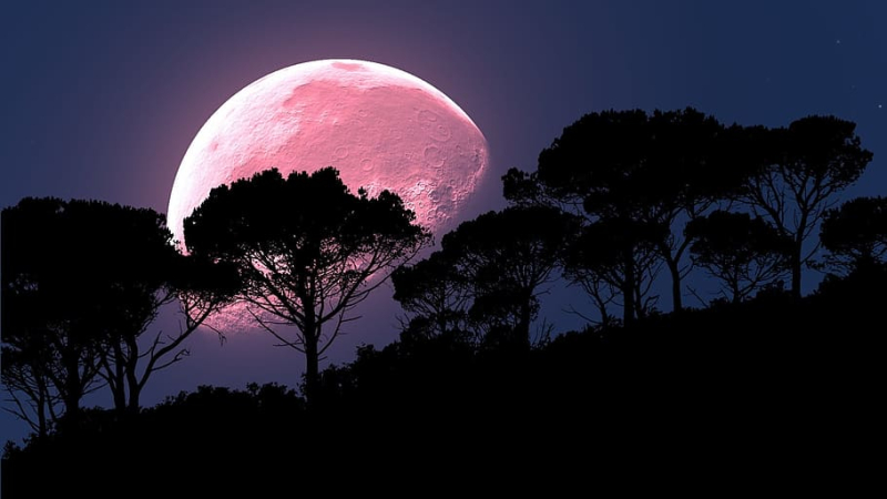 Premier rendez-vous pour observer le ciel, cette année