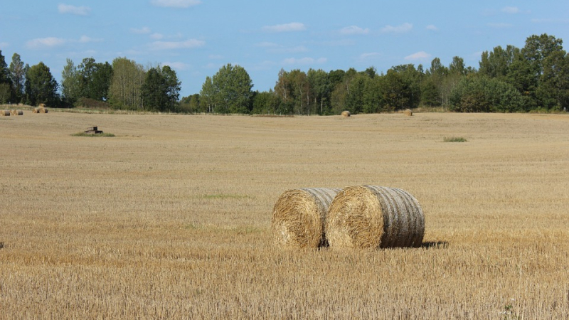 Coup de pouce avant Noël pour les retraités agricoles