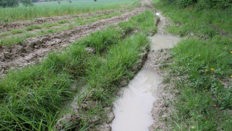 Certains jours, les randonneurs doivent chausser de bonnes bottes !