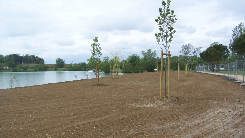 Transformation de la plage en espace verdoyant pour la sécurité du public.