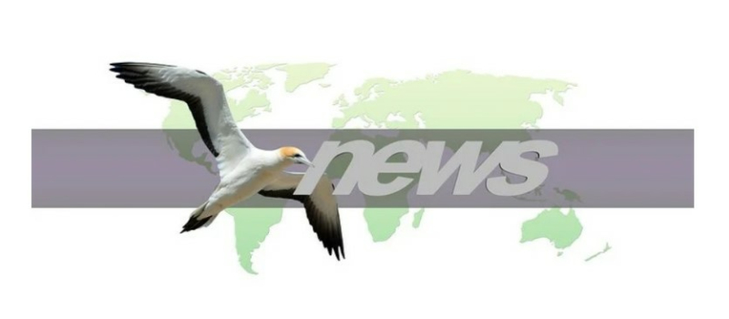 La journée mondiale de la liberté de la presse  pour une information vérifiée et fiable