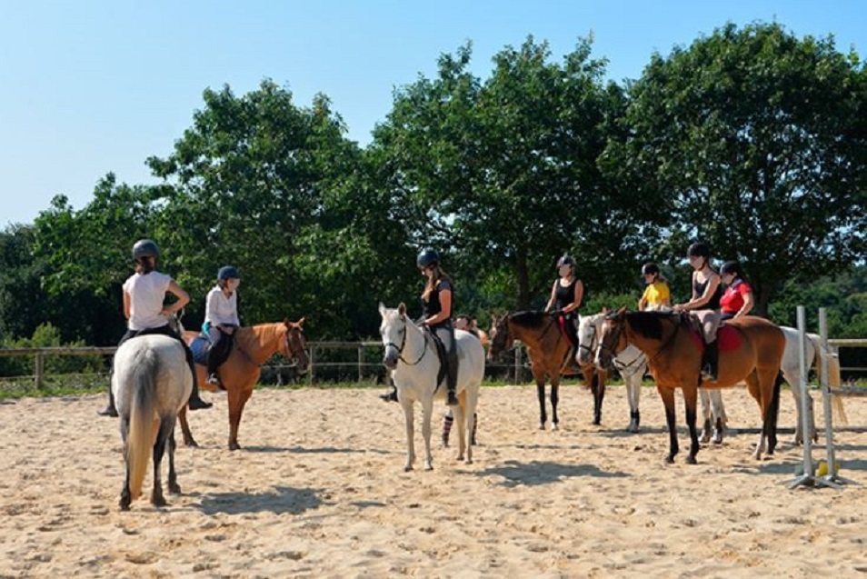 Les jeunes suivent donc des cours en lien avec le monde du cheval. © Crédit Ph//Christelle Bidou