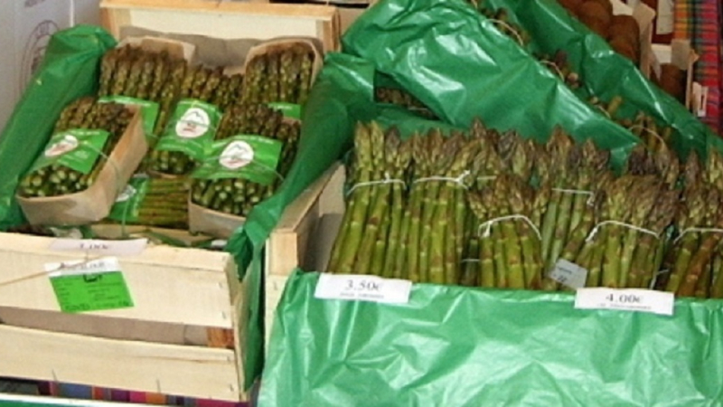 Le marché des producteurs a trouvé son rythme de croisière