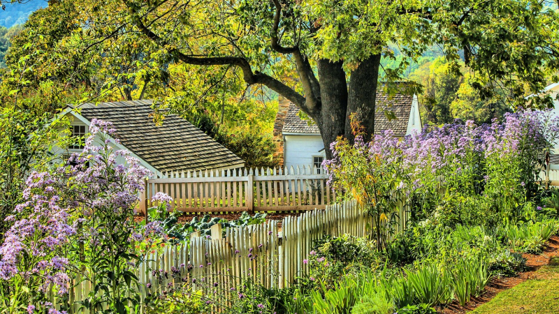 Participer au concours des jardins écologiques