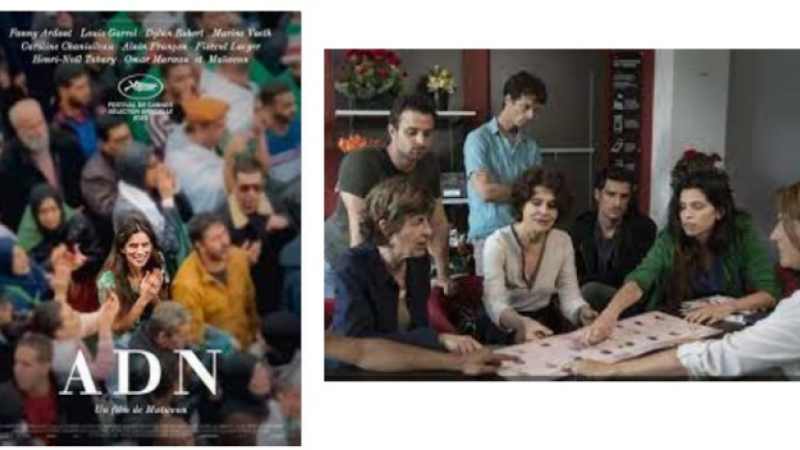 Au cinéma dimanche...