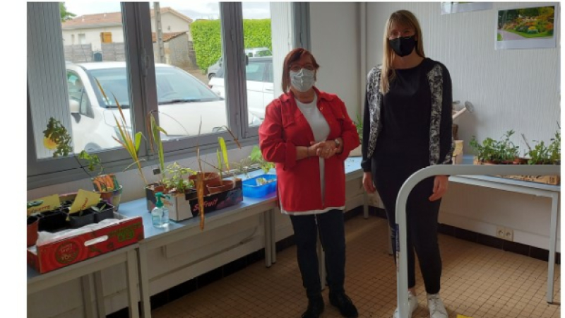 Journée portes ouvertes à Vic Accueil : les plantes à l'honneur !