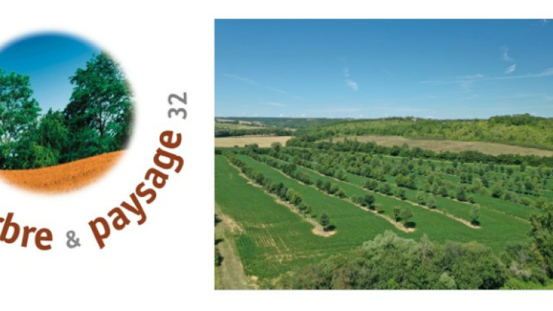 Arbre et Paysage 32, une association «porte-parole» de l’arbre champêtre!