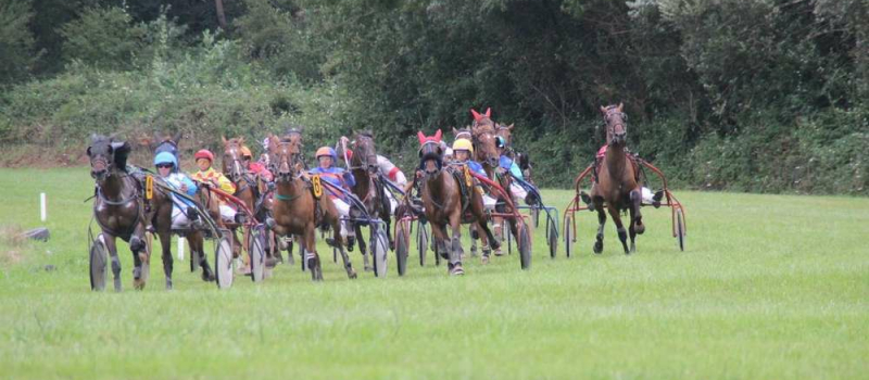 Courses de chevaux