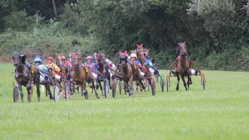 Courses de chevaux