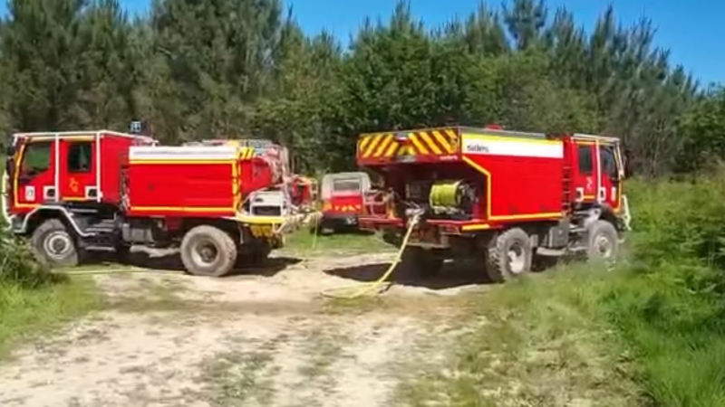 Feu de forêt prévention préparation 