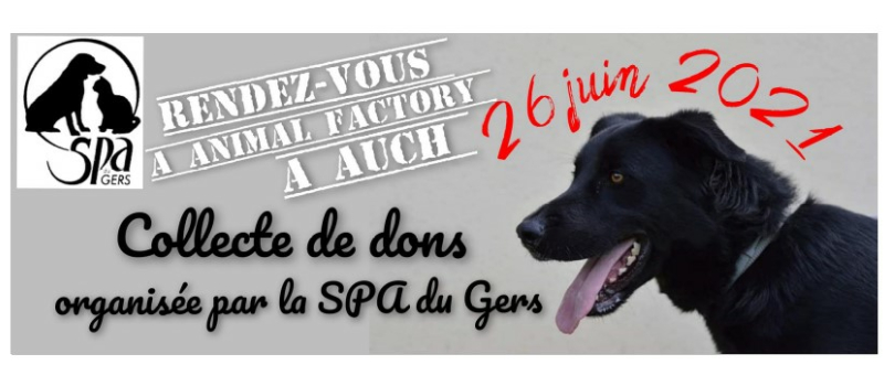 Collecte organisée par la SPA