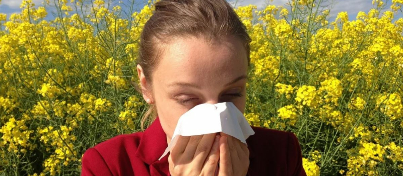 allergies de saison