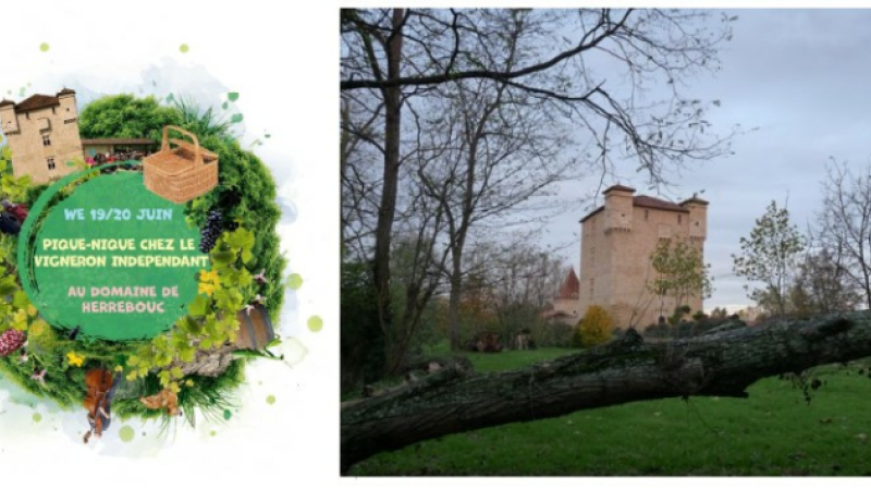 Pique-nique chez le vigneron au domaine de Herrebouc