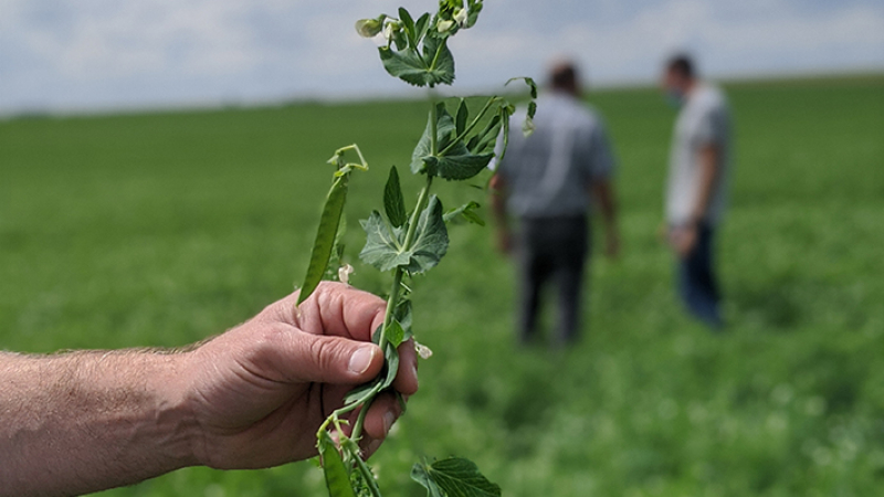 Bonduelle partenaire des Journées nationales de l’agriculture