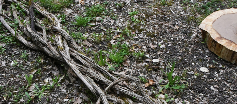 L'Art dans la nature