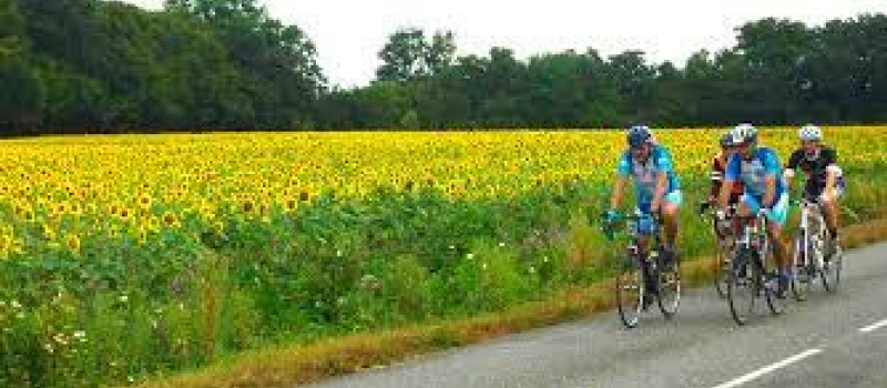 voies cyclables. environnement le Gers peut mieux faire
