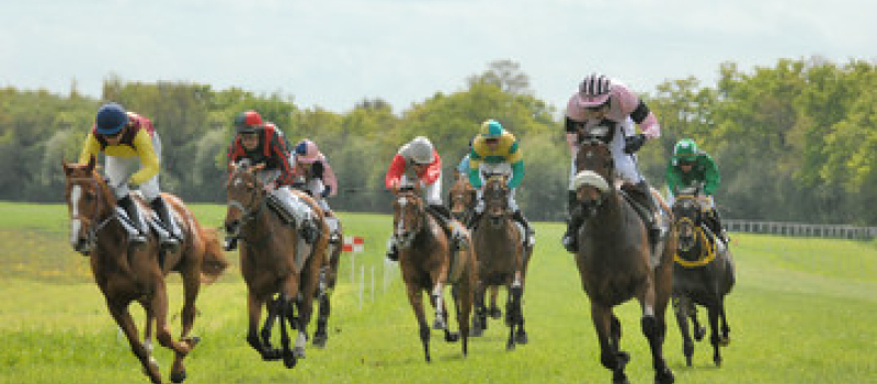 Réunion annuelle de trot