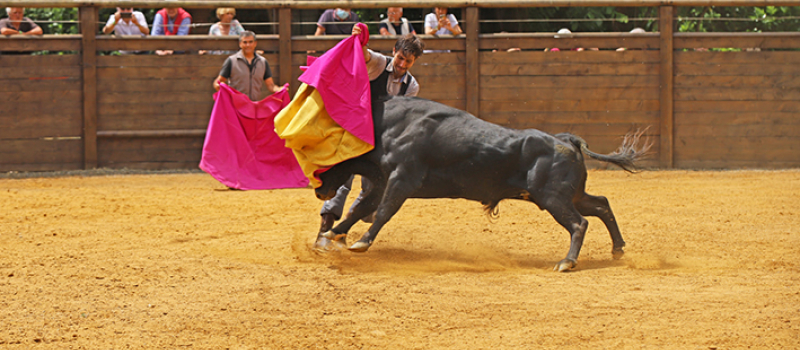 Les arènes du Lartet revivent