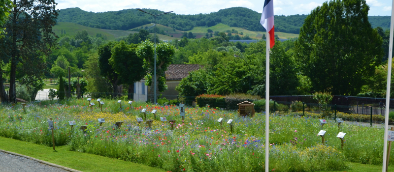De nouveaux sites fleuris sur la commune
