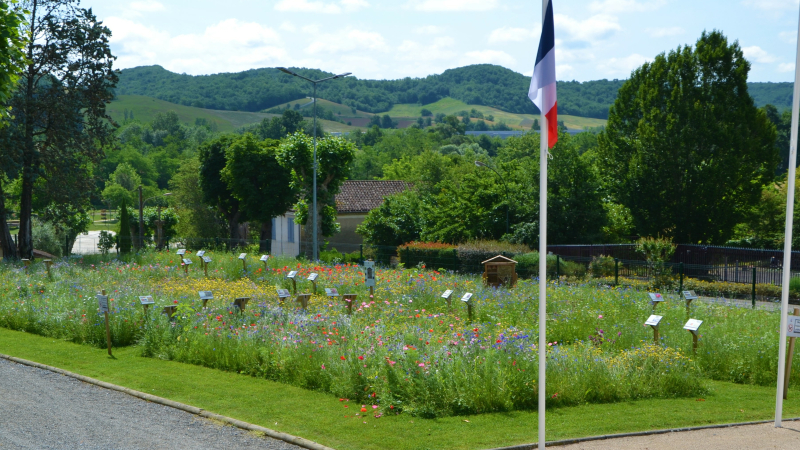 De nouveaux sites fleuris sur la commune