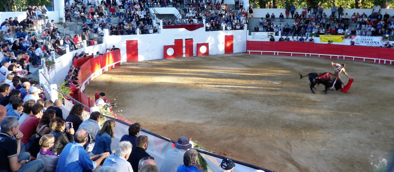 les grandes fetes du pays  a Plaisance du Gers