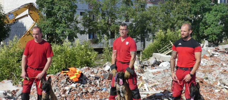 Ils se font les dents dans les décombres d'un quartier du Garros