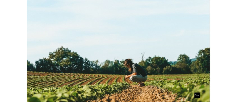 Après 8 mois de fonctionnement, bilan positif pour l’entreprise de conseil agricole de Lucile Péres 