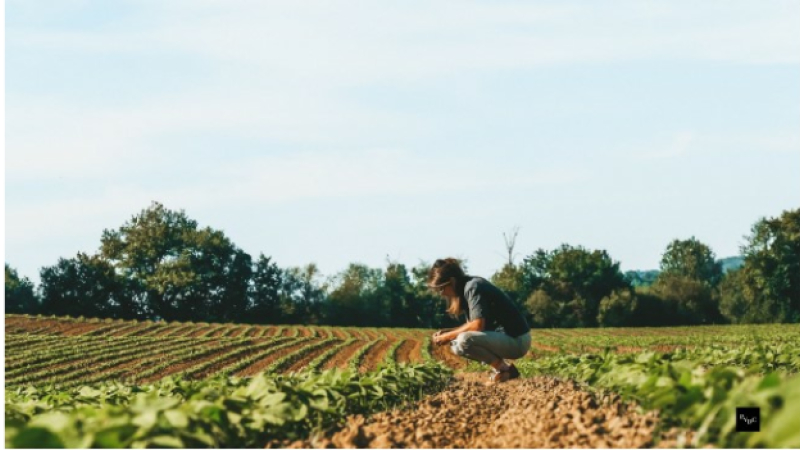Après 8 mois de fonctionnement, bilan positif pour l’entreprise de conseil agricole de Lucile Péres 